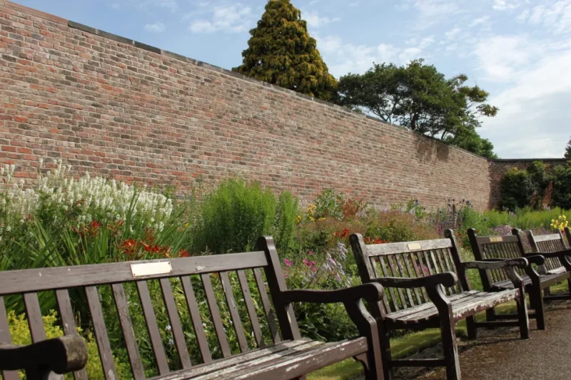 IMG 3199 e1752570045696